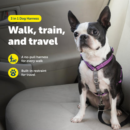 PetSafe 1 Dog Harness No Pull Solution for Dogs Reflective Dog Harness