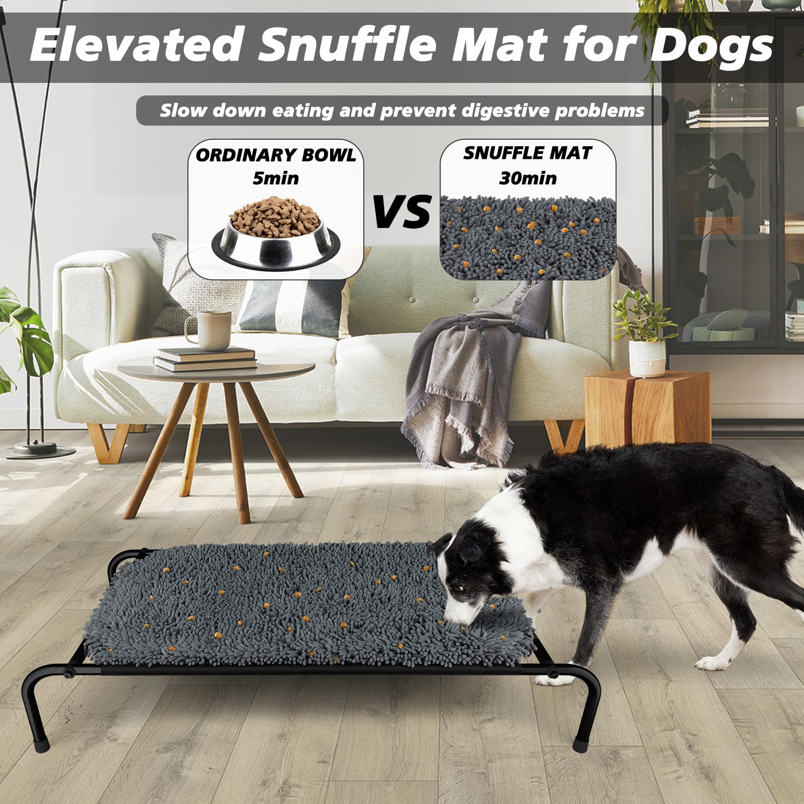 Rundik Elevated Dog Bed with Snuffle Mat Feature 1, Raised Dog Game