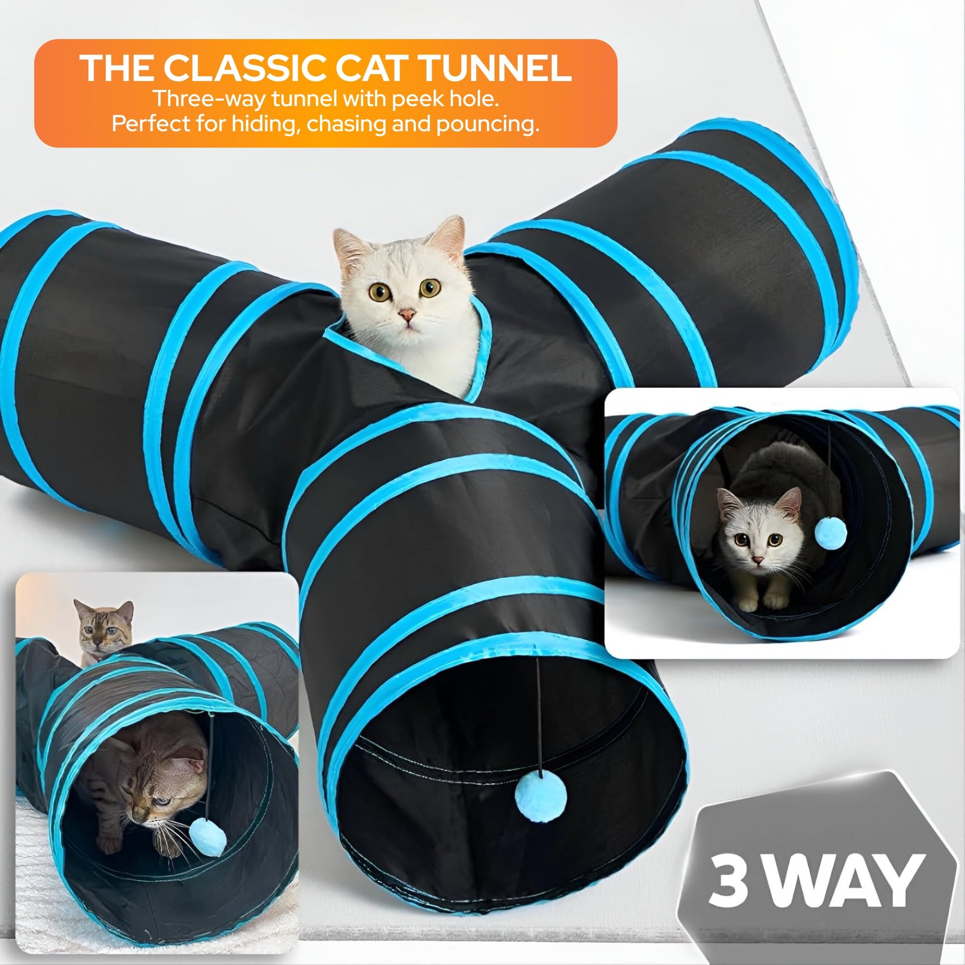 LOOPY CAT Toy Box 5 Interactive Indoor Cat Toys with Spiral Tunnel