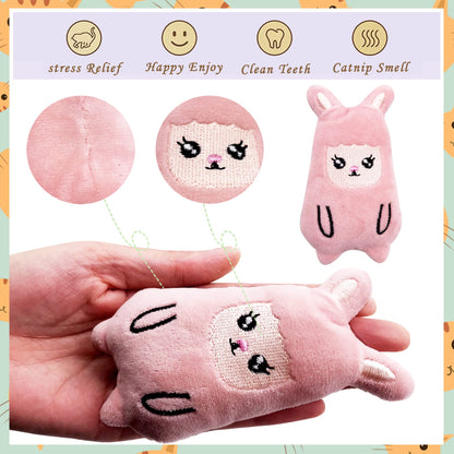 Pai Sence Cat Toys for Indoor Cats Kittens Interactive Pillow Catnip