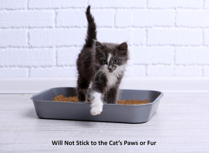 Coir Wonder Cat Litter Deodorizer Activated Carbon Odor Eliminator Box