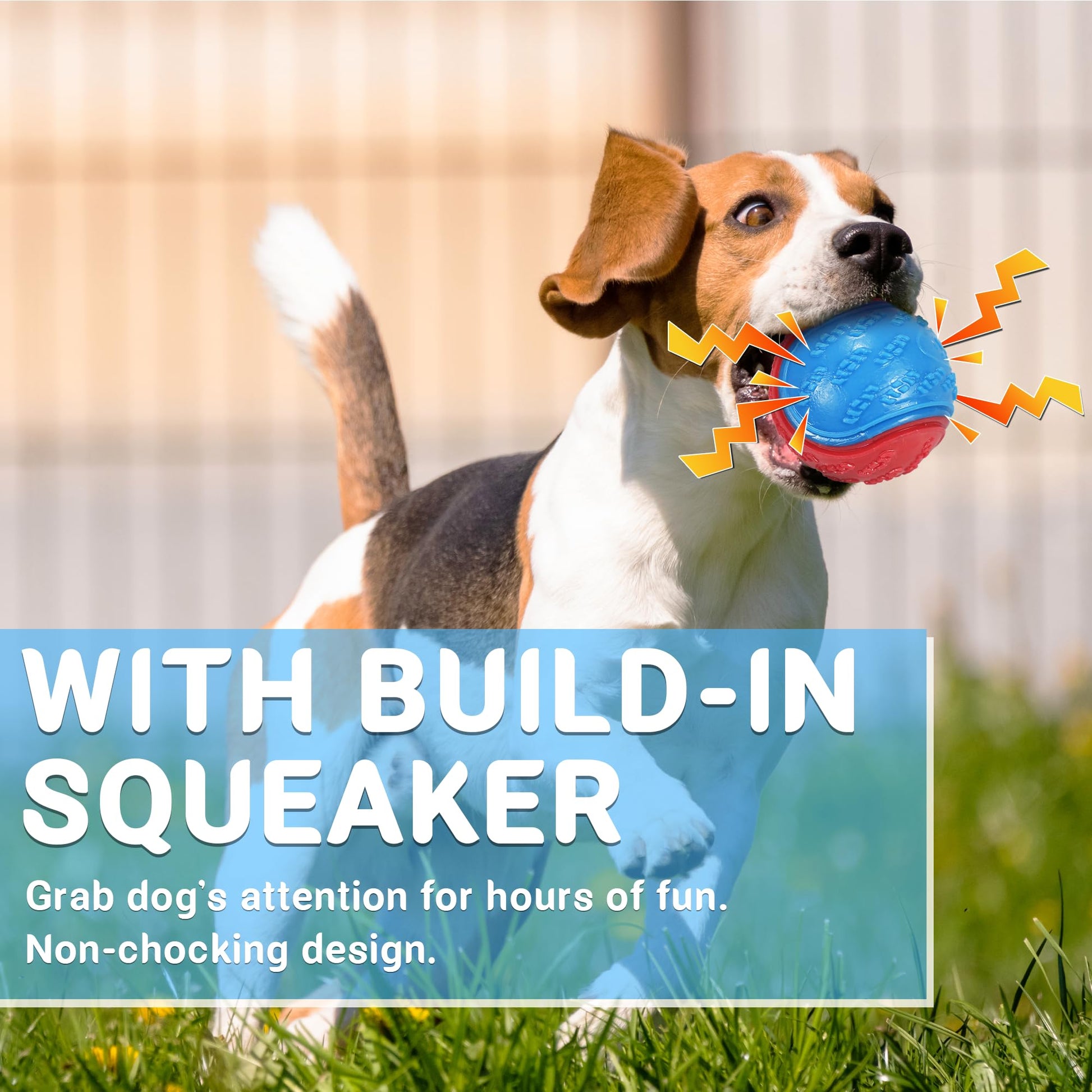 LECHONG Squeaky Dog Balls Toys for Training, Dog Toys to Keep Chew