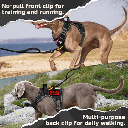 rabbitgoo Tactical Dog Harness Medium Sized Dog, No Pull Harness