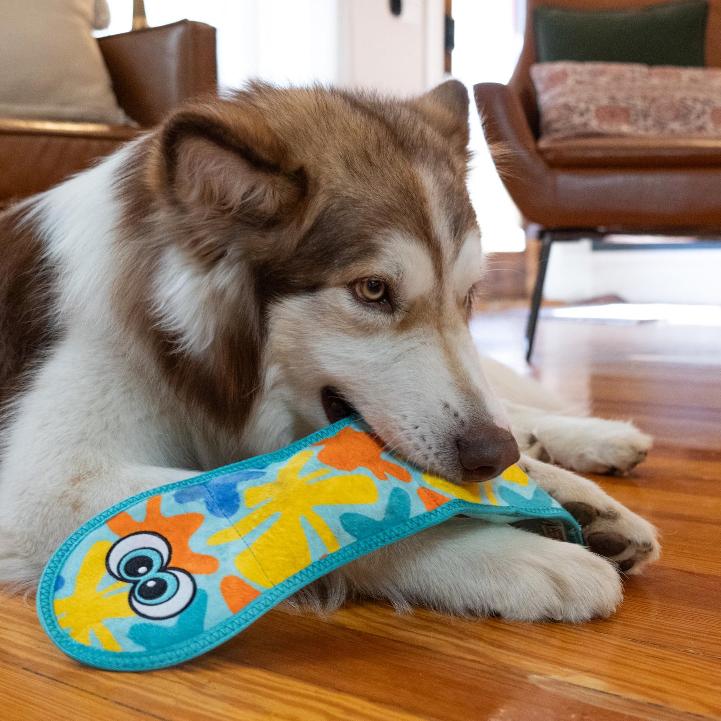 Outward Hound Tough Skinz Durable Squeaky Dog Toy with Two Tough Toy