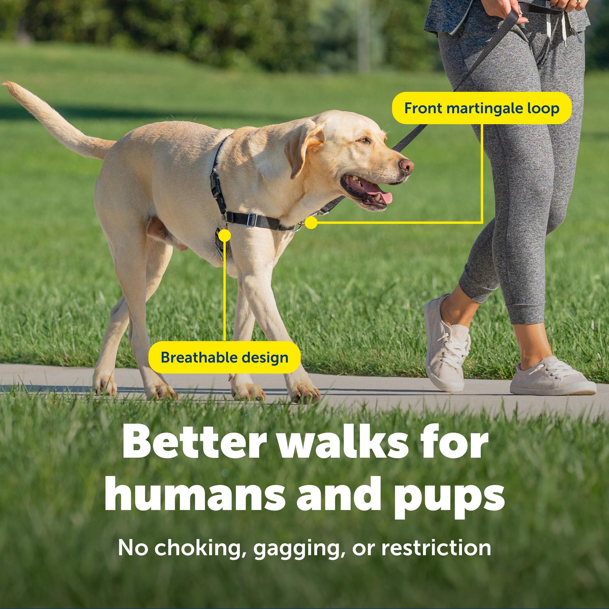 PetSafe Easy Walk No-Pull Dog Harness Harness to Help Stop Leash