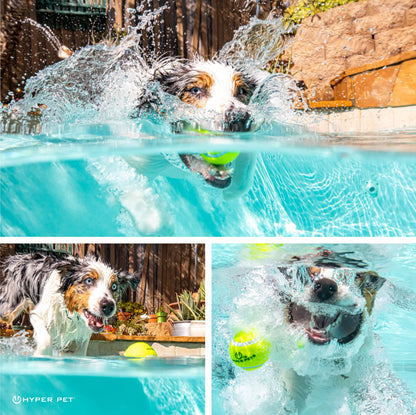 Hyper Pet Tennis Balls for Dogs 12 Pack 2.5'' Durable Non-Toxic Balls