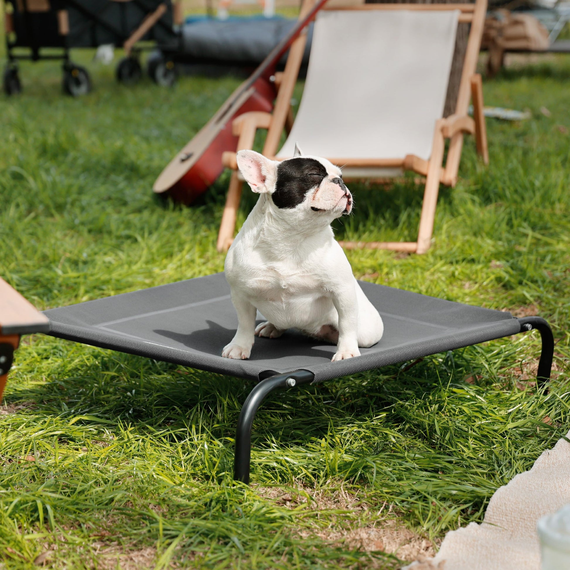 Bedsure Outdoor Elevated Dog Bed Medium Size Dog, Portable Indoor Bed