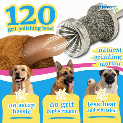 Diamondg Dog Nail Grinder Bits, 2 Pack Compatible with Dremel, Grinder