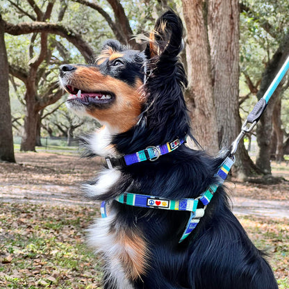 Pawtitas Multicolor Step-in Dog Harness Adjustable No-Pull Vest