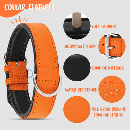 Riparo Leather Dog Collar Padded Heavy Duty Wide Dog Collar
