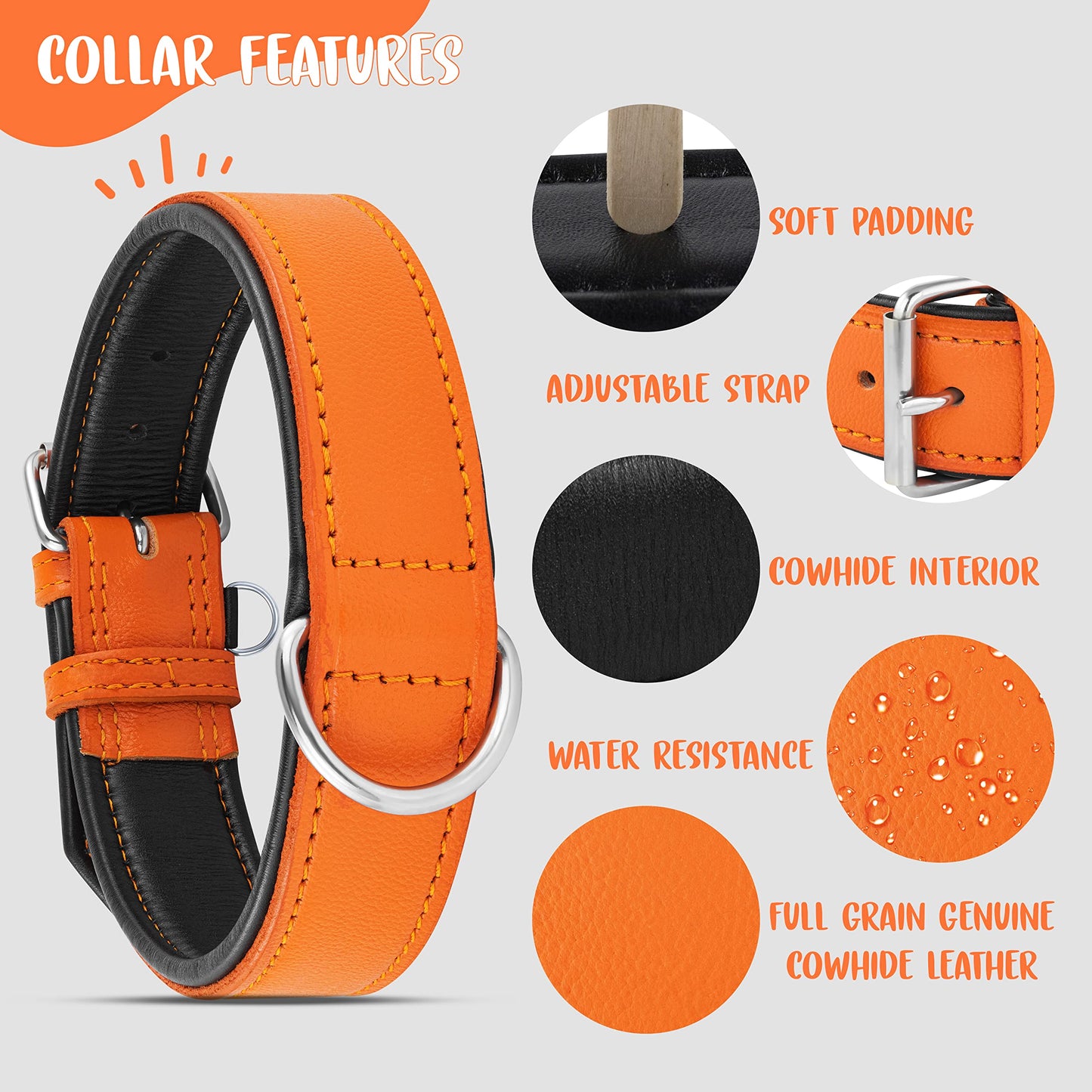 Riparo Dog Collar, Leather Dog Collar with Dog Tag Holder, Collar