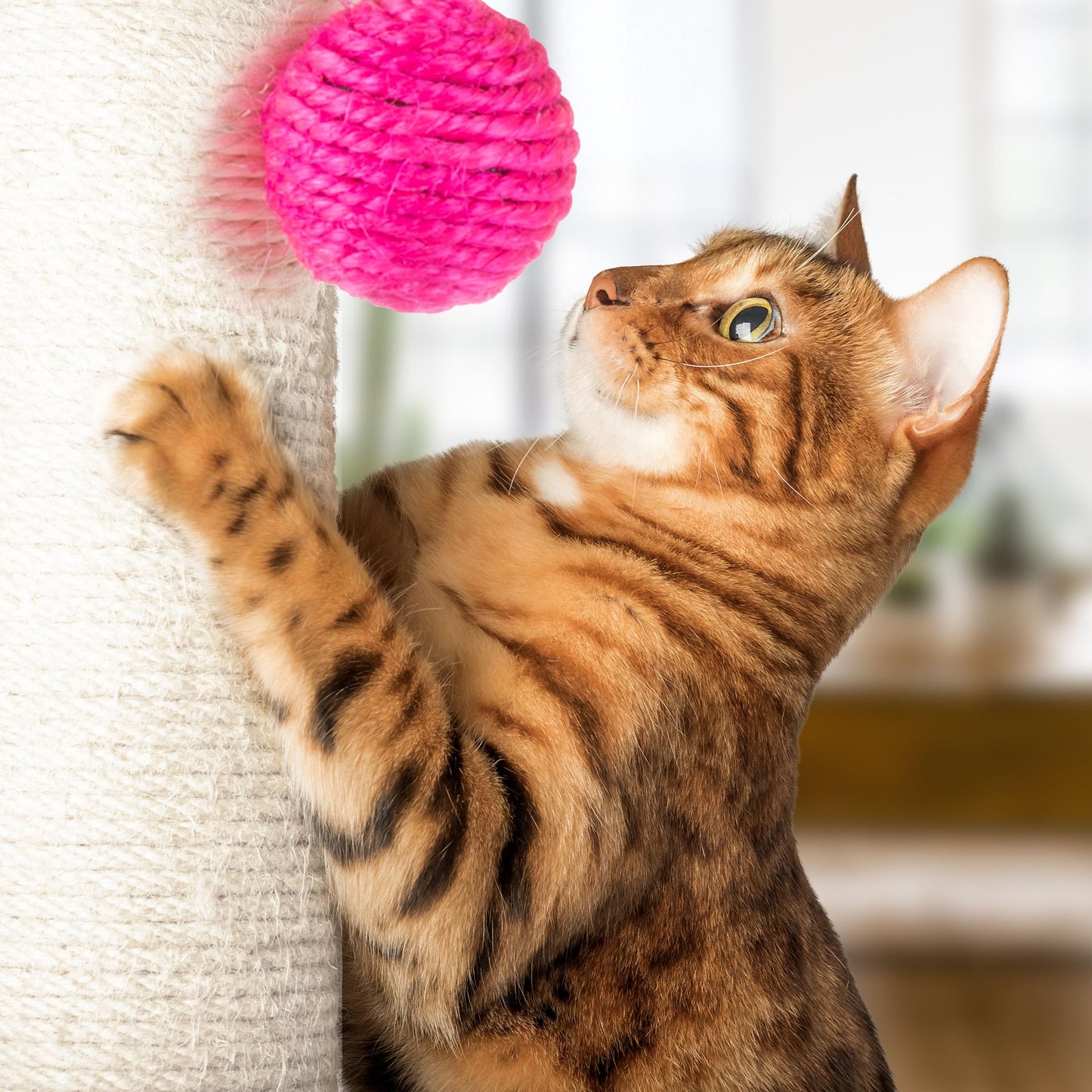17-Inch Cat Scratching Post Sisal Rope and Carpet Scratching Pole Ball