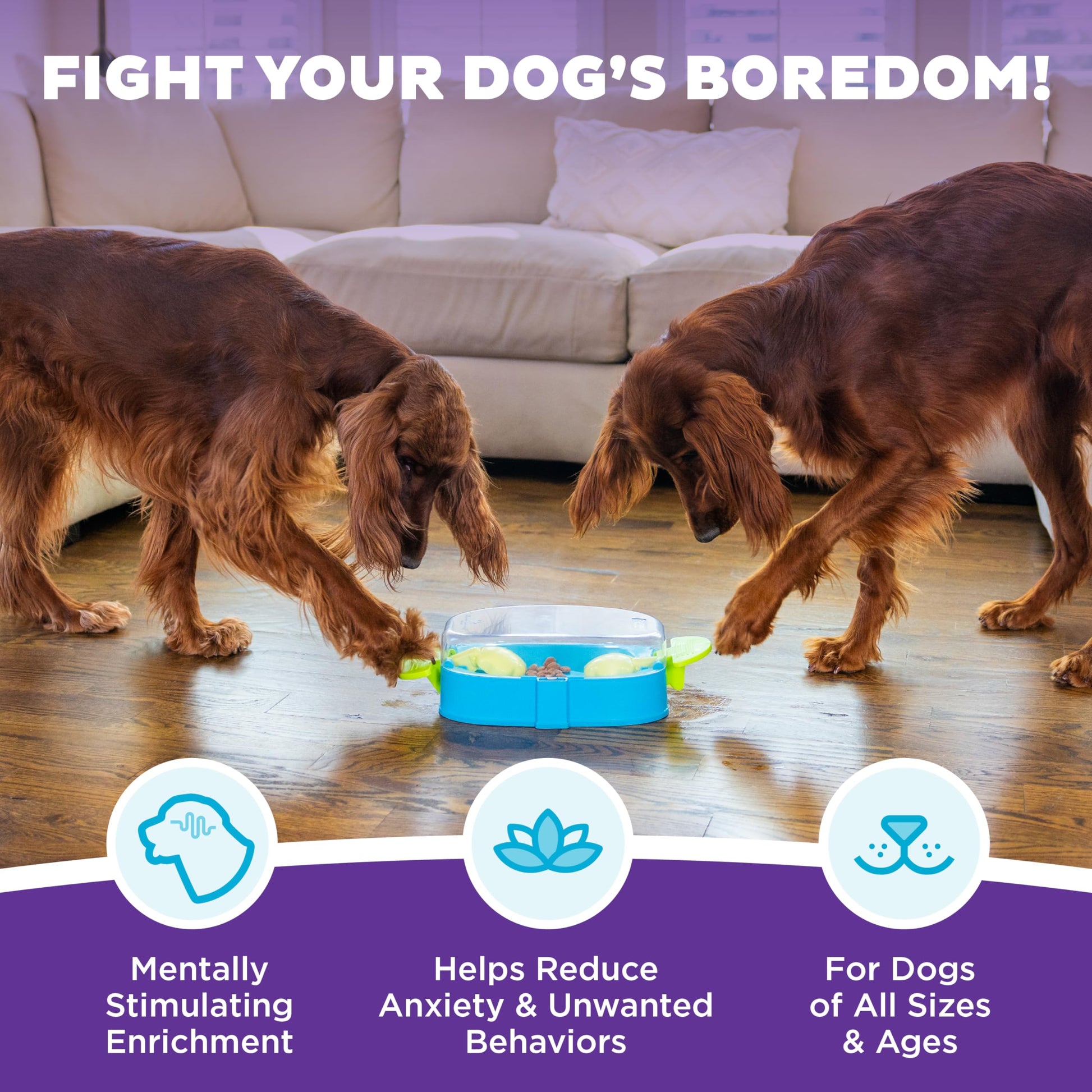 Outward Hound Nina Ottosson Paw N' Play Interactive Dog Treat Puzzle