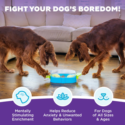 Outward Hound Nina Ottosson Paw N' Play Interactive Dog Treat Puzzle
