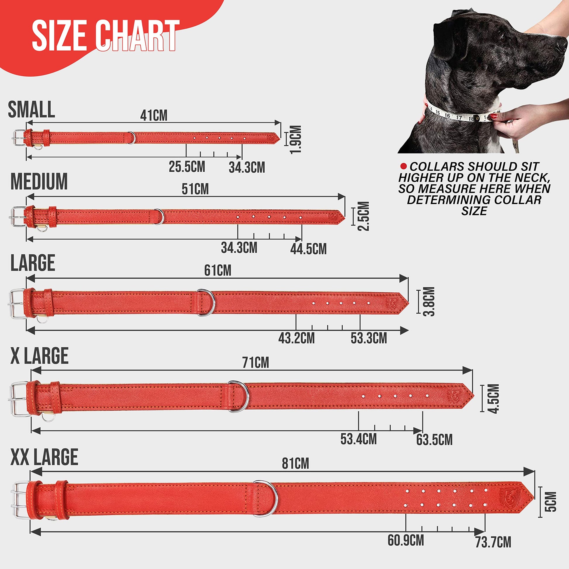 Riparo Leather Dog Collar Heavy Duty Wide Dog Collar
