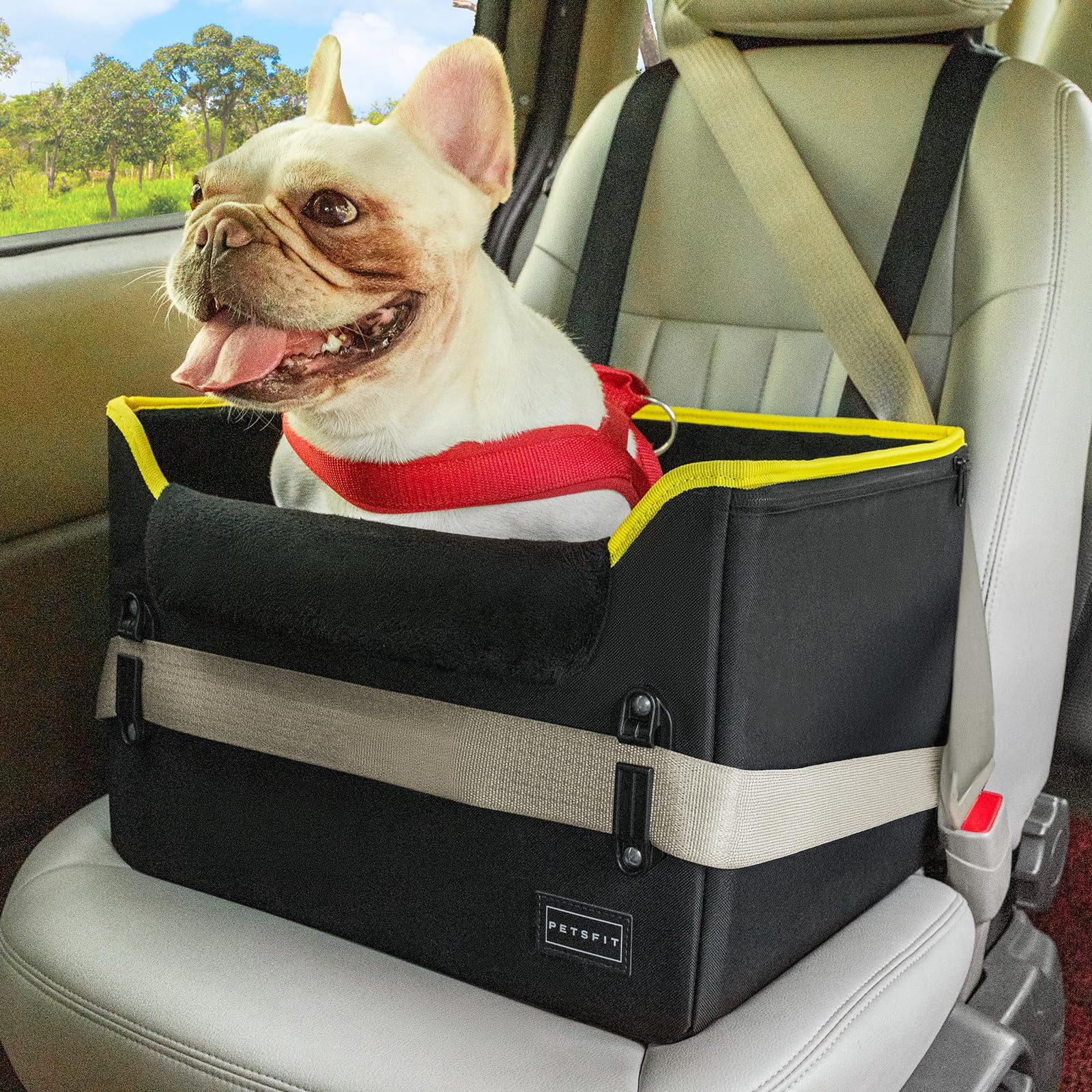 PETSFIT Small Dog Car Seat Patented Safety Buckles Safety Tether Seat
