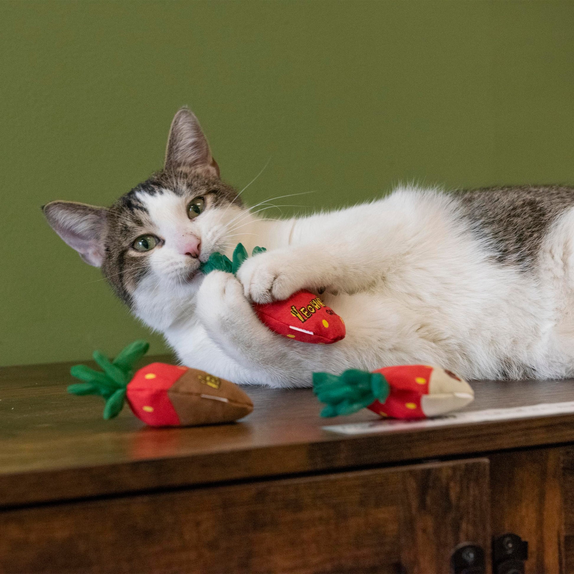 Yeowww!, Strawberries Catnip Cat Toy, 3 Count Catnip