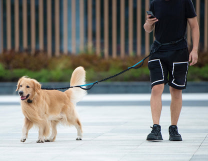 iYoShop Hands Free Dog Leash with Zipper Pouch, Dual Padded Leash
