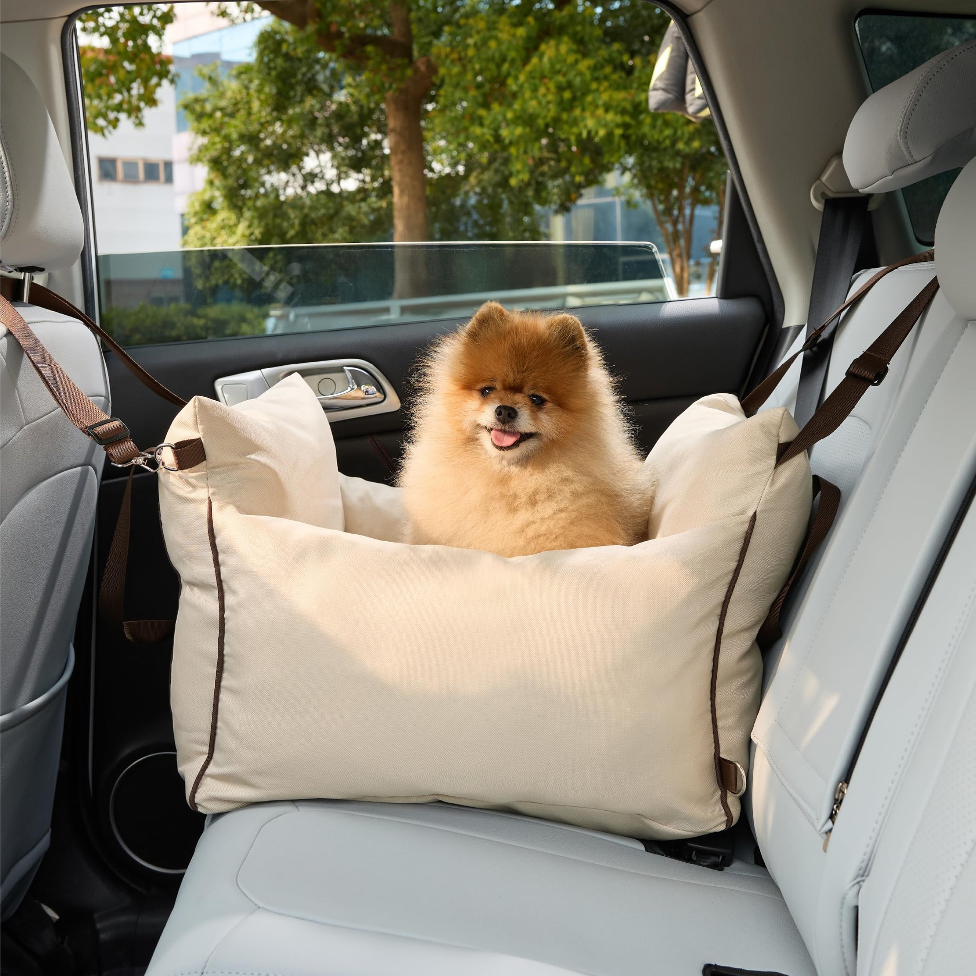 Lesure Small Dog Car Seat for Small Dogs Sherpa Dog Booster Seat