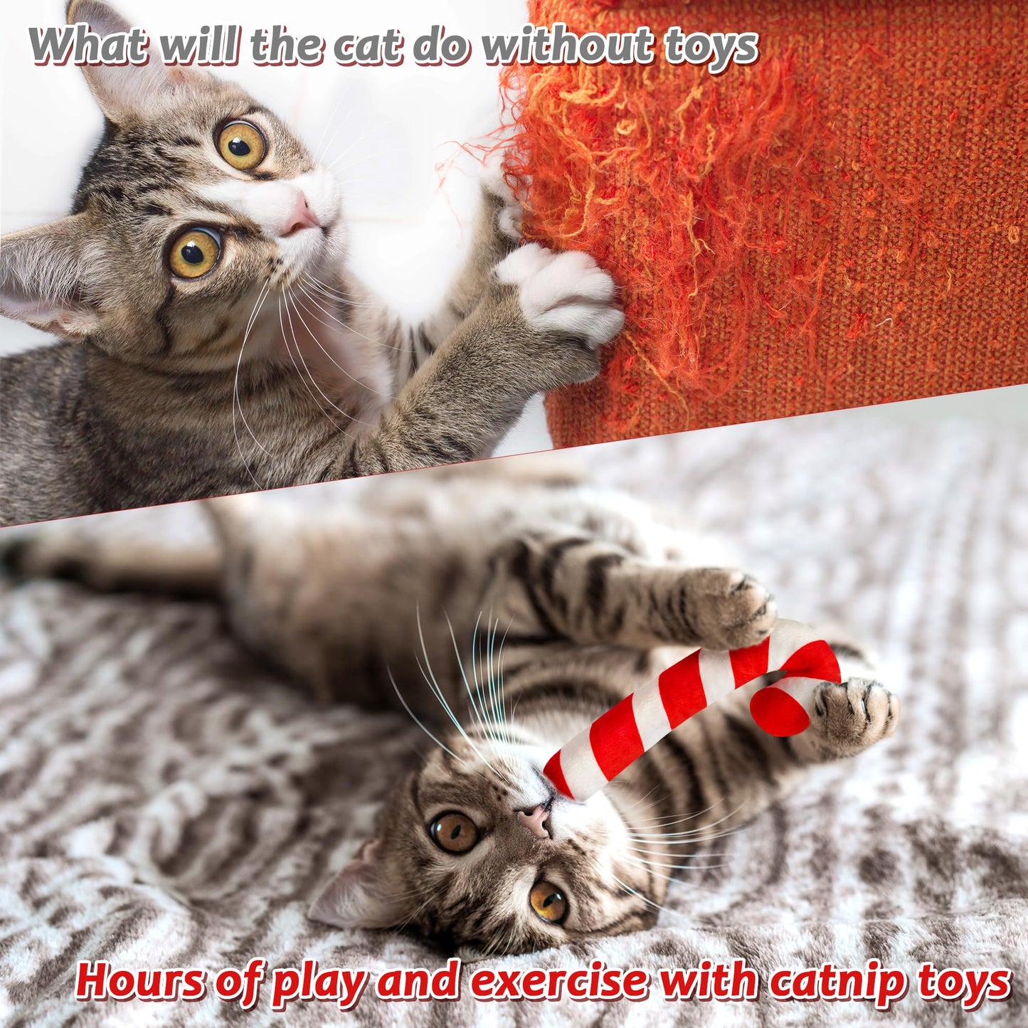 MALLMALL6 2Pcs Christmas Candy Cane Catnip Toys Gift for Cat, Catnip