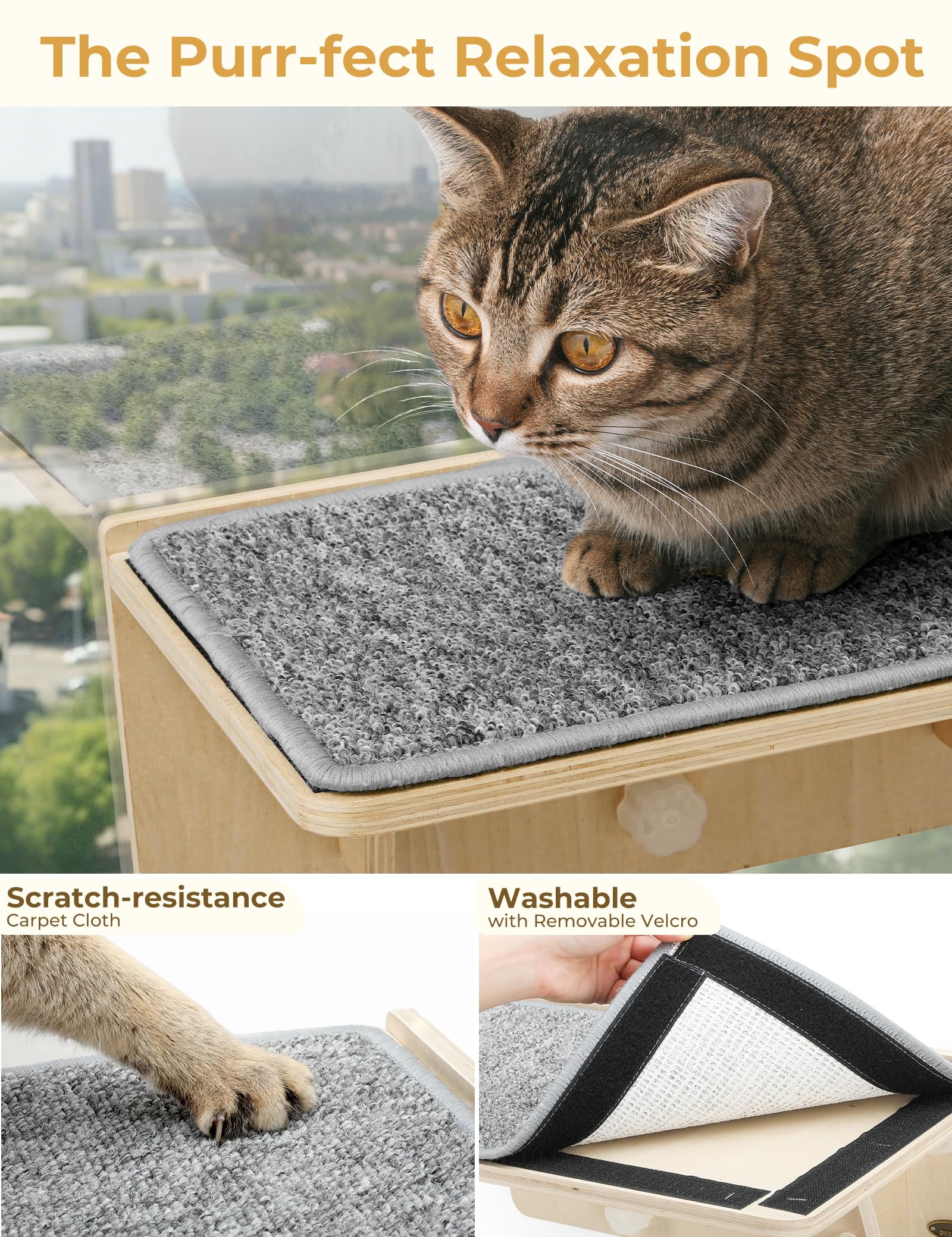 Pecute Double Cat Shelves with Scratching Post for Wall and Window Bed