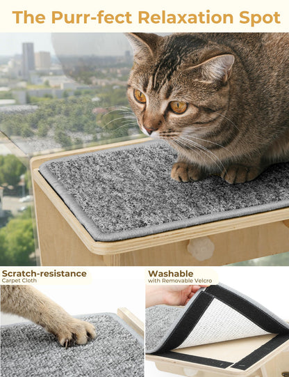 Pecute Double Cat Shelves with Scratching Post for Wall and Window Bed