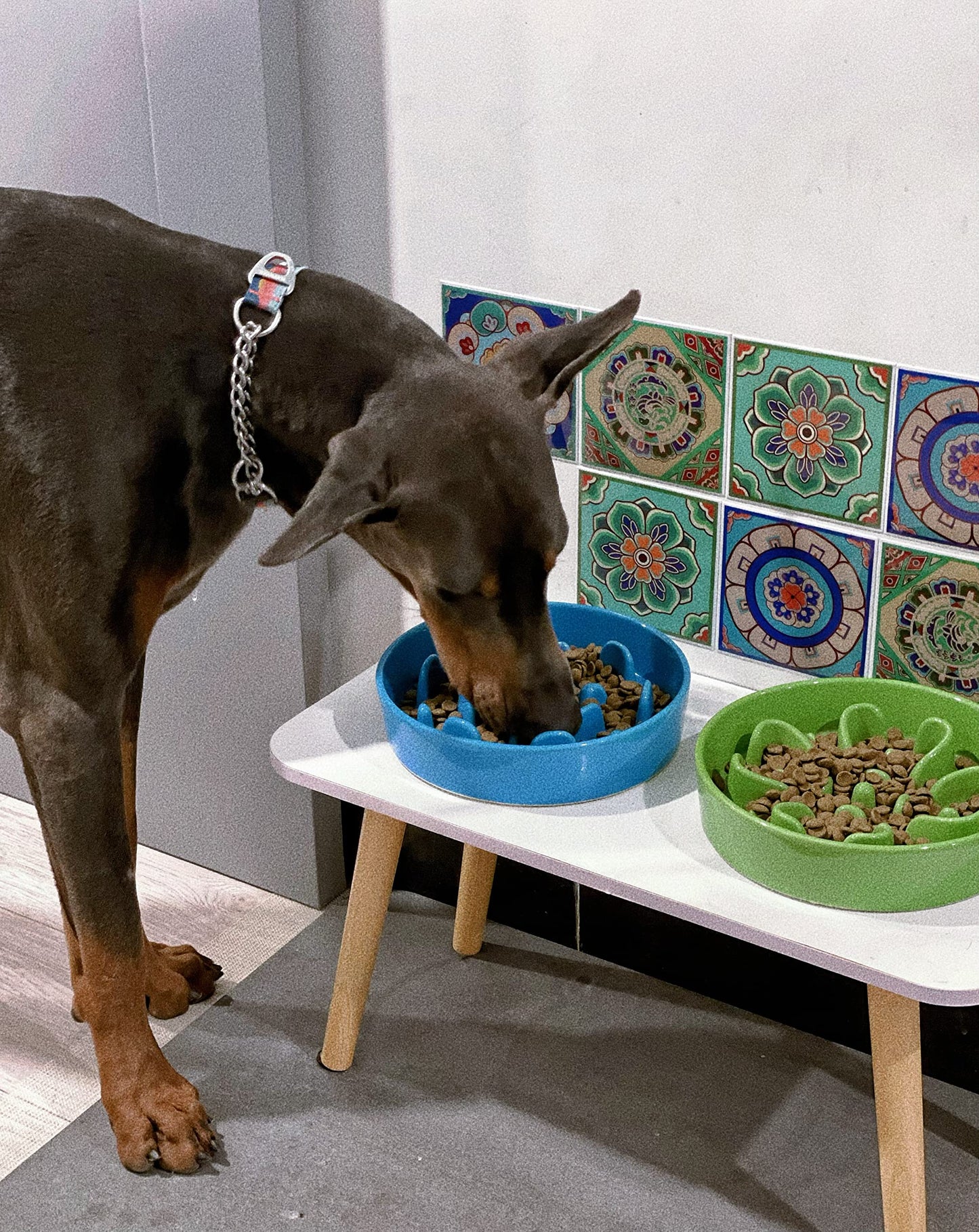 LE TAUCI Dog Bowls Slow Feeder Ceramic, 1.5 Cup Slow Feeding Puzzle