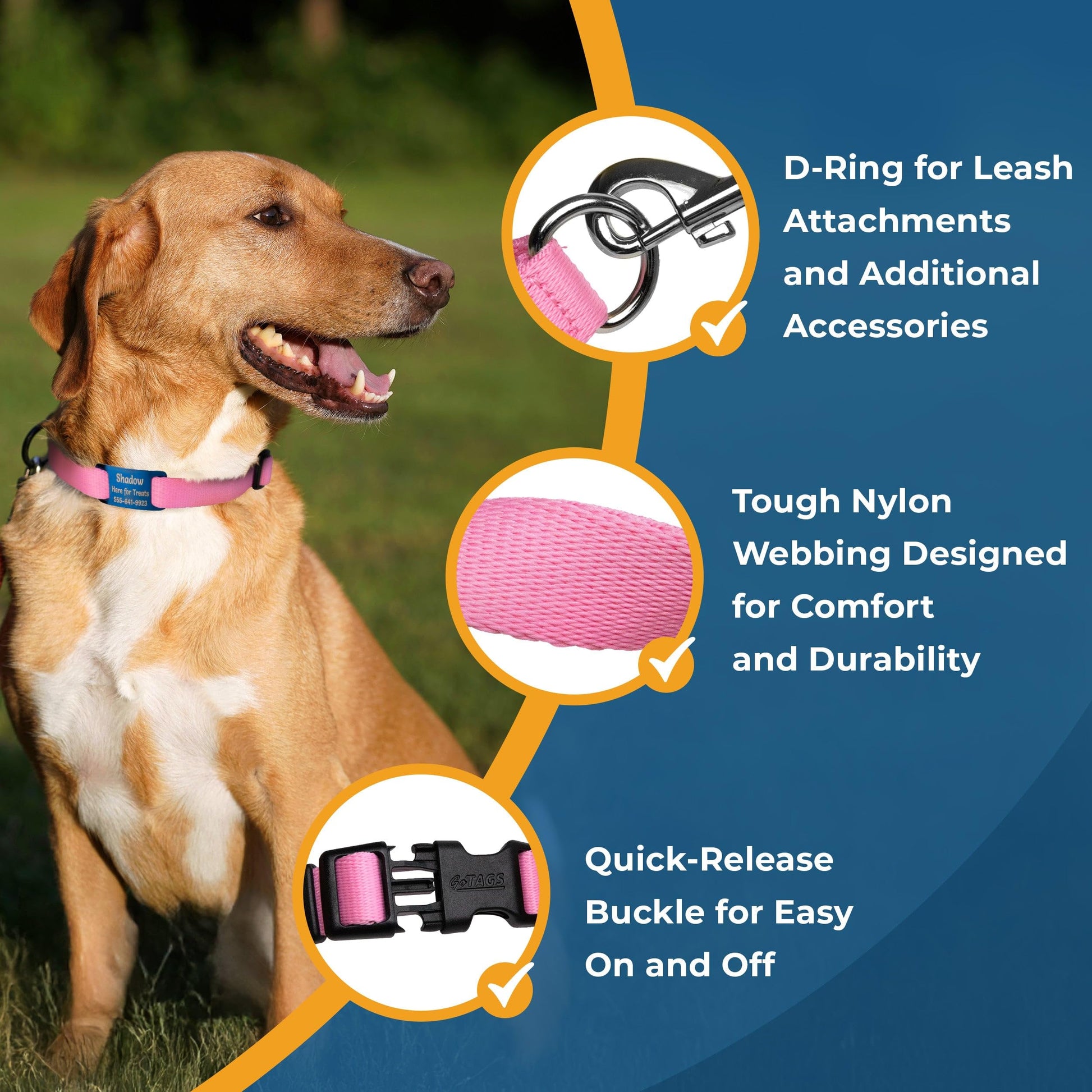 GoTags Reflective Personalized Dog Collar with Nameplate, Collar