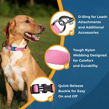 GoTags Reflective Personalized Dog Collar with Nameplate, Collar