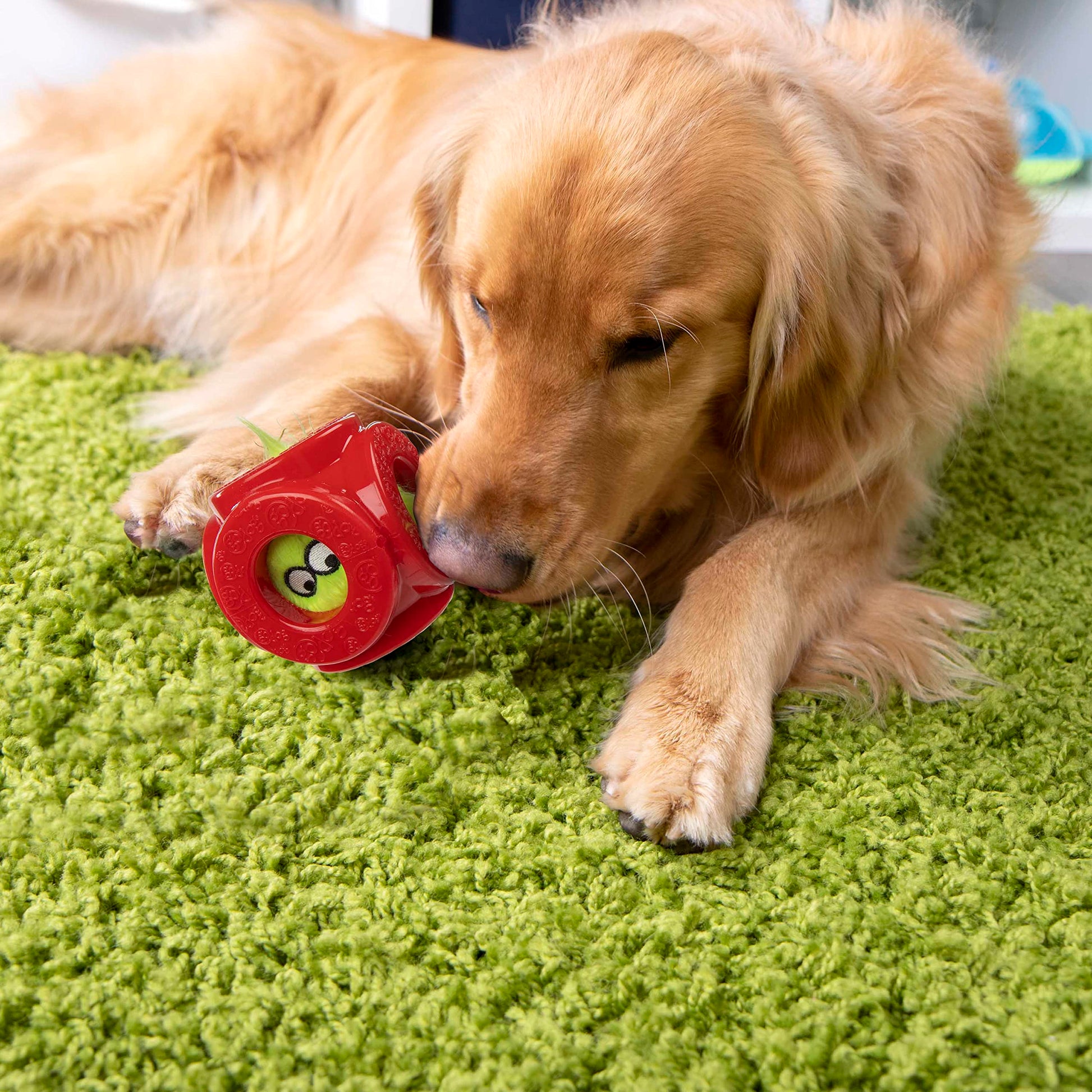 goDog Holiday Collection 2-in-1 Cage Ball Dog Toy with Furballz Plush