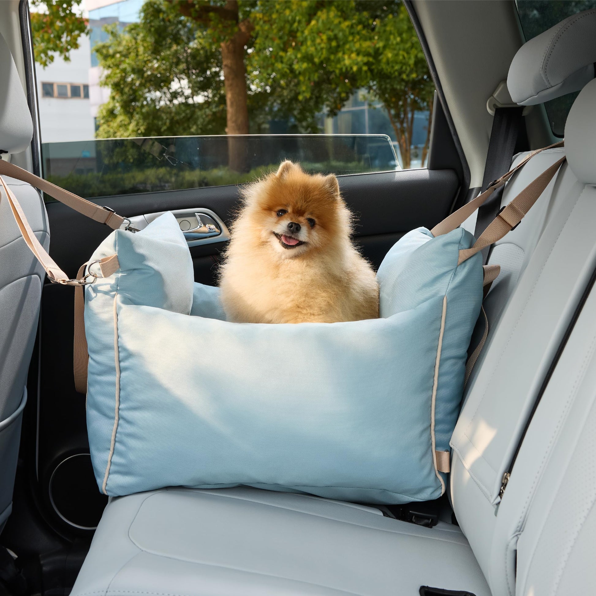 Lesure Small Dog Car Seat for Small Dogs Soft Dog Booster Seat Seat