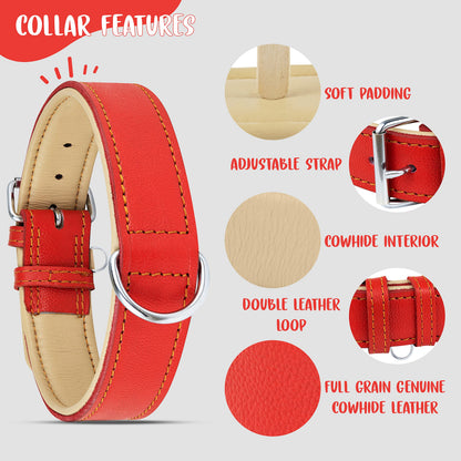 Riparo Leather Dog Collar Heavy Duty Wide Dog Collar