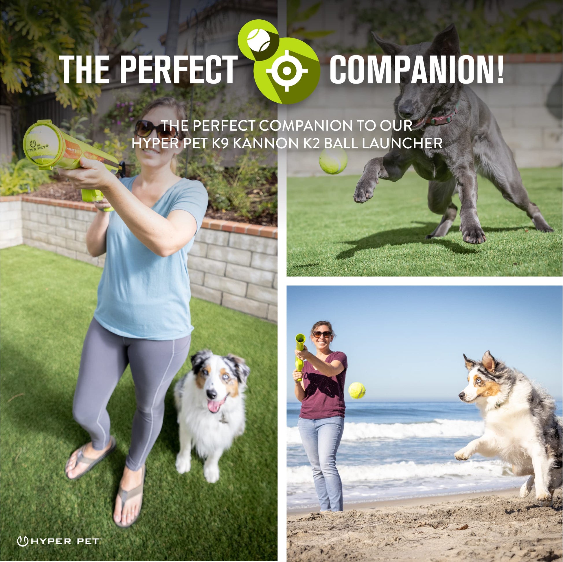 Hyper Pet Tennis Balls for Dogs 12 Pack 2.5'' Durable Non-Toxic Balls
