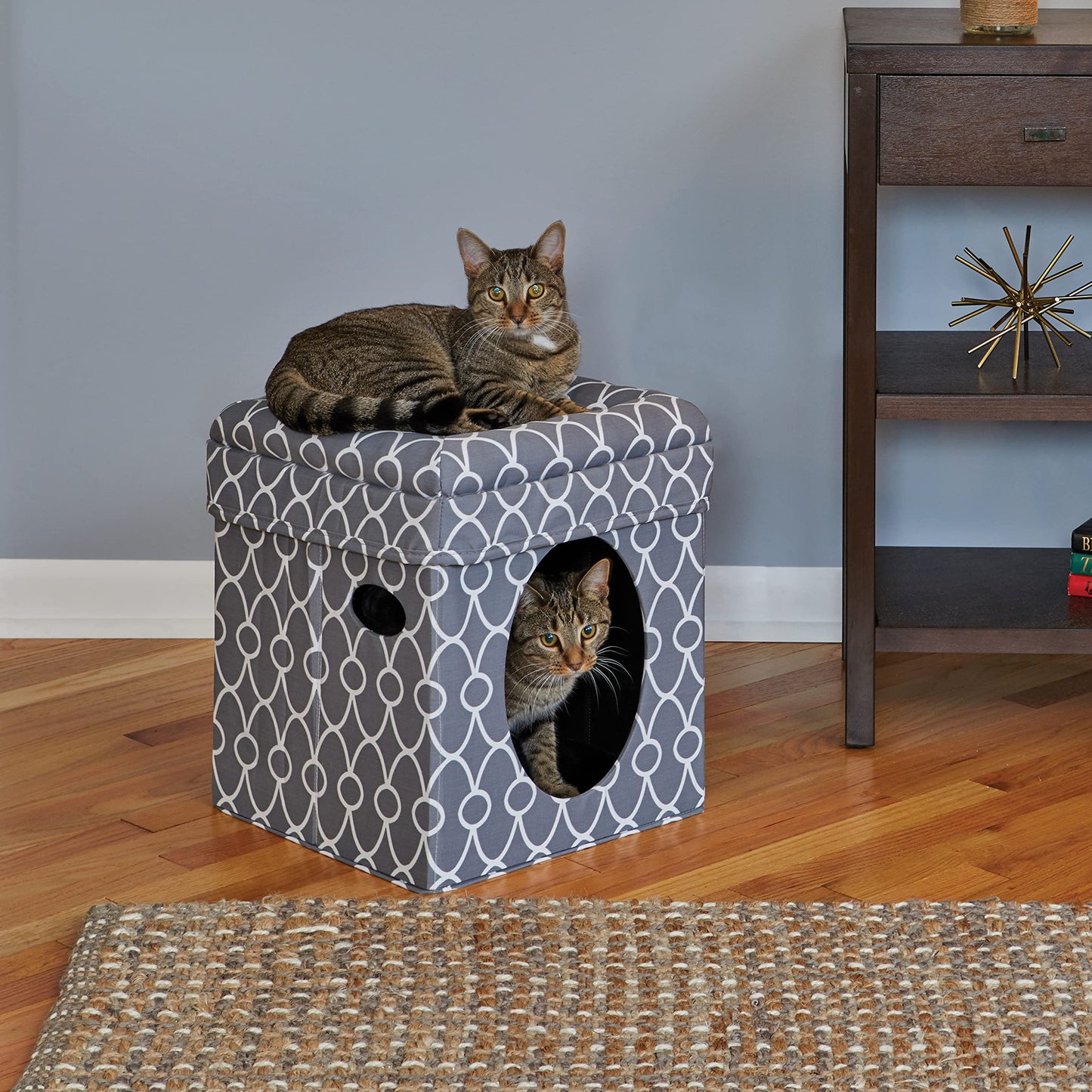 MidWest Homes for Pets Feline Nuvo Curious Cat Cube, Foldable Toy