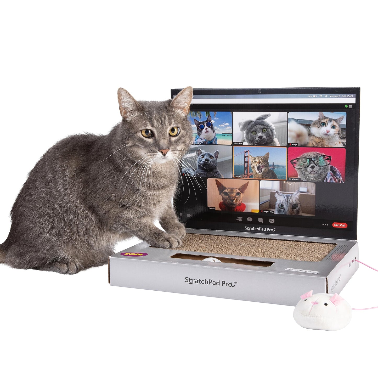 ScratchPad Pro Cardboard Laptop Cat Scratcher, Interactive Scratcher