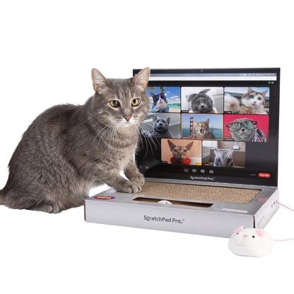 ScratchPad Pro Cardboard Laptop Cat Scratcher, Interactive Scratcher
