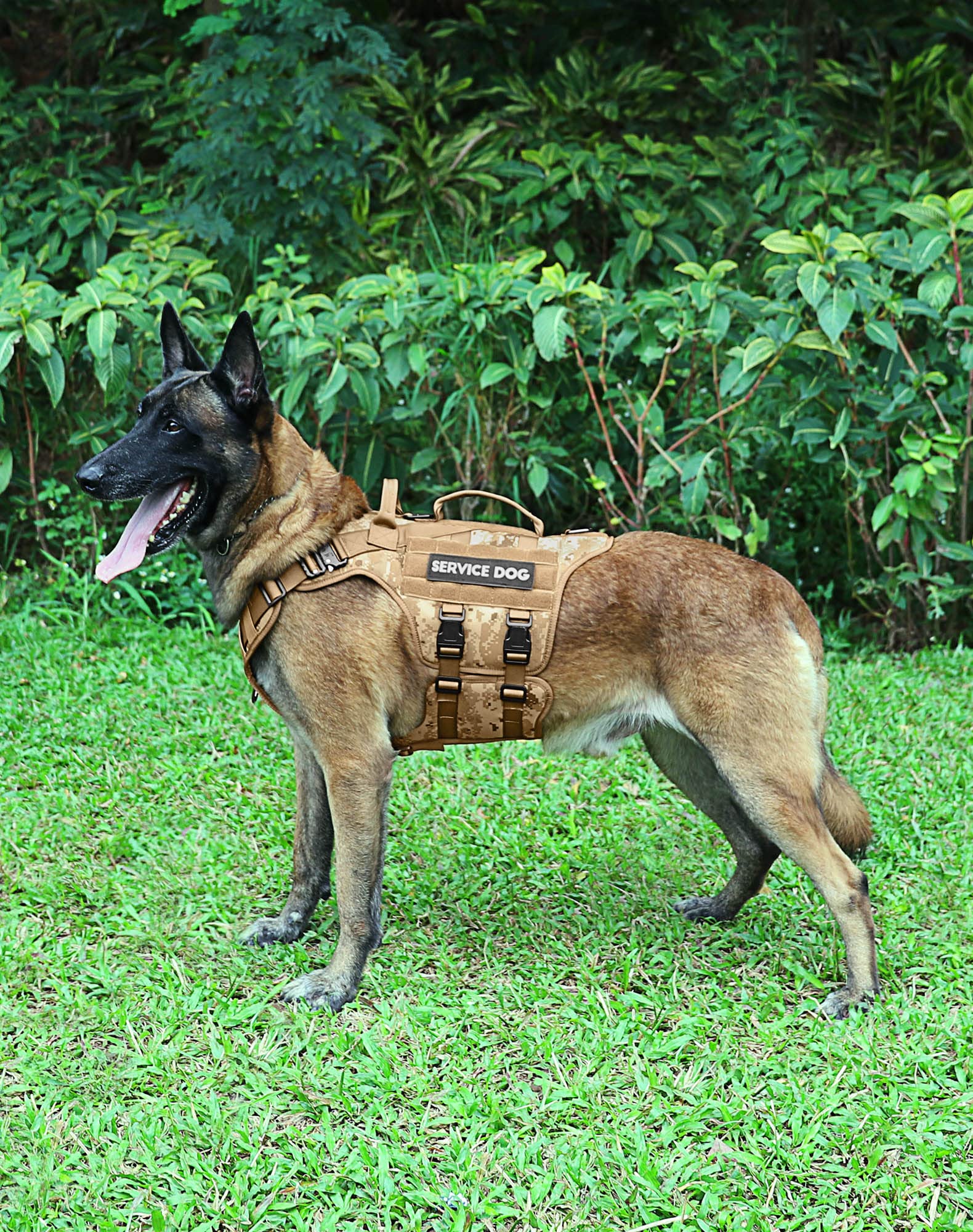Tactical Dog Harness PETNANNY Dog Harness Service Dog Vest