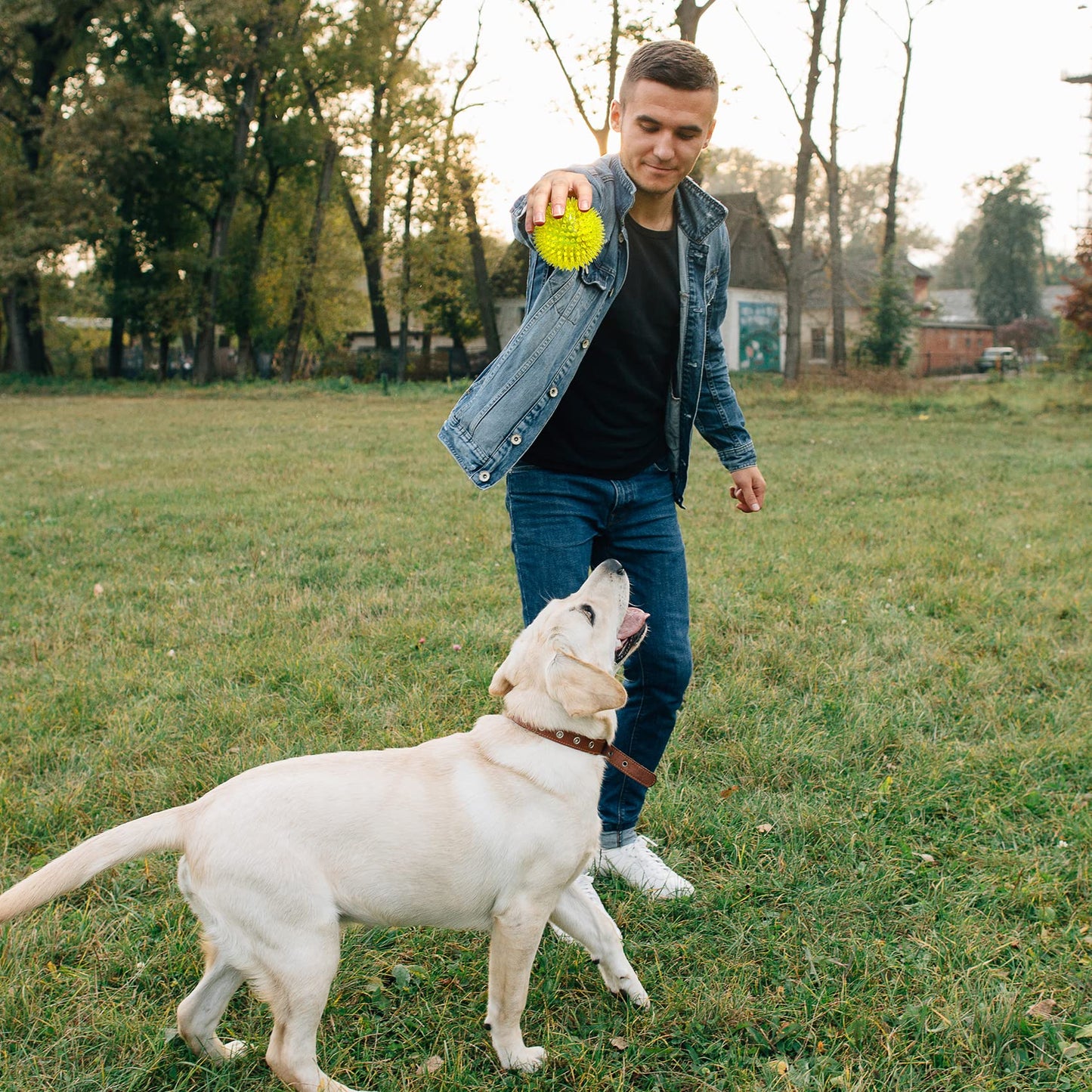 VITEVER 3.5” Squeaky Dog Toy Balls (6 Colors) Puppy Chew Toys