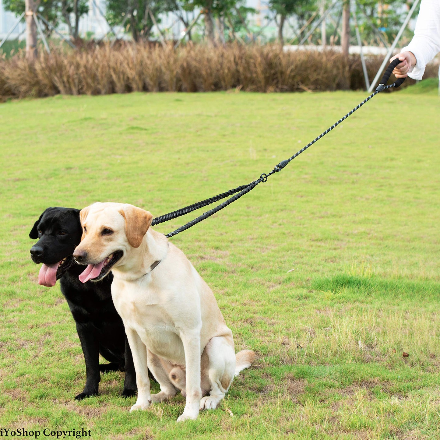 iYoShop Dual Dog Leash 360° Swivel, No Tangle Walking Leash with Leash