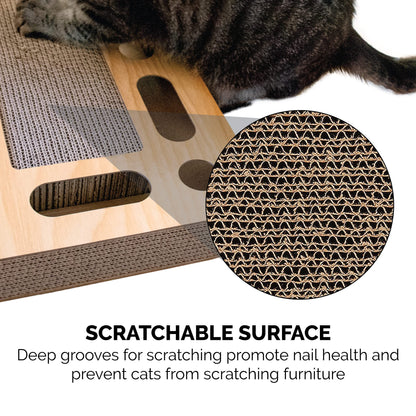 Furhaven Scratching Pad Ball Track Cat Toy w/ Catnip for Indoor Catnip