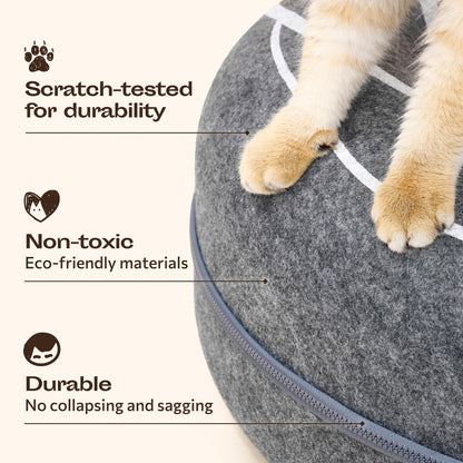 Peekaboo Cat Cave Donut Cat Tunnel Bed for Indoor Cats Cute Bed