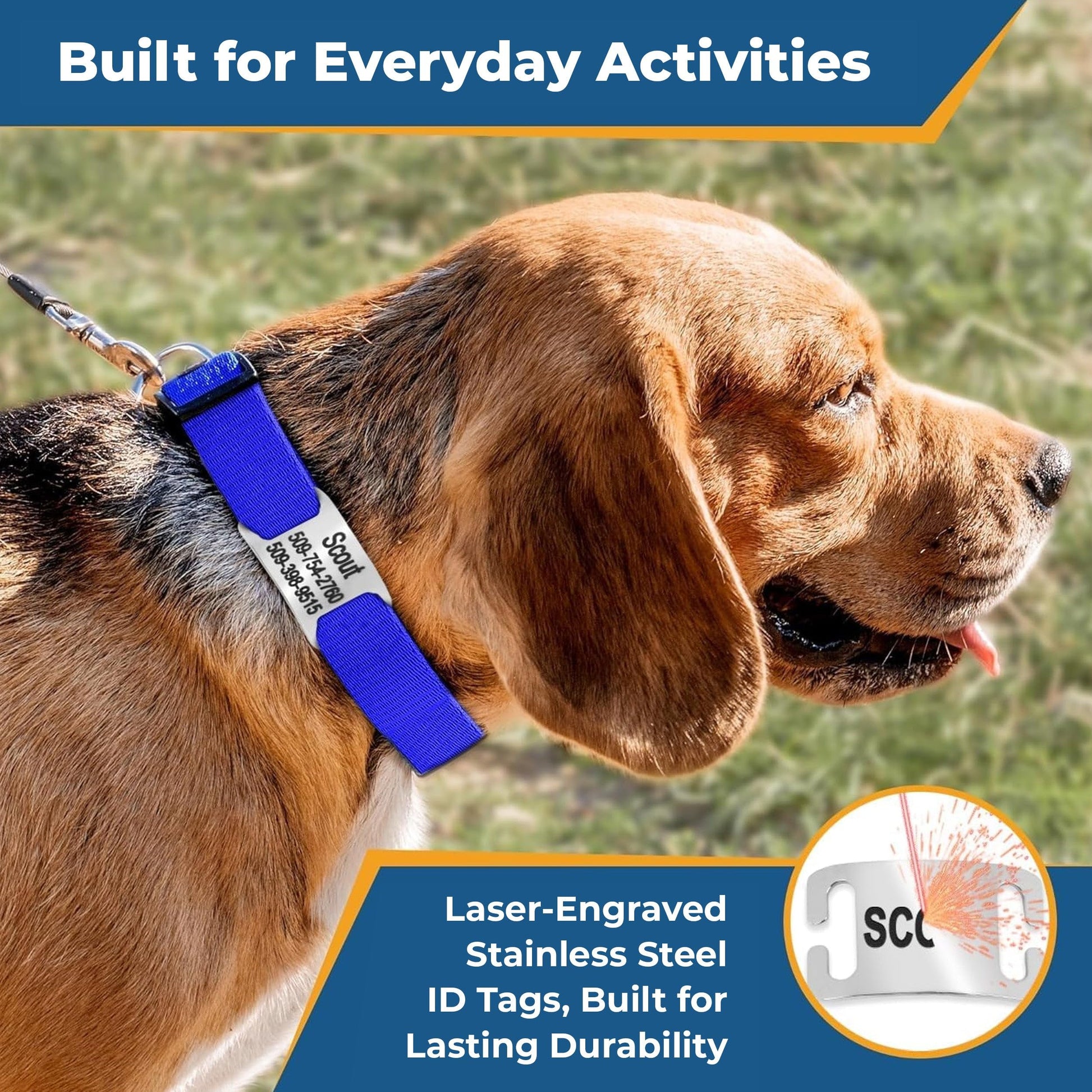 GoTags Reflective Personalized Dog Collar with Nameplate, Collar