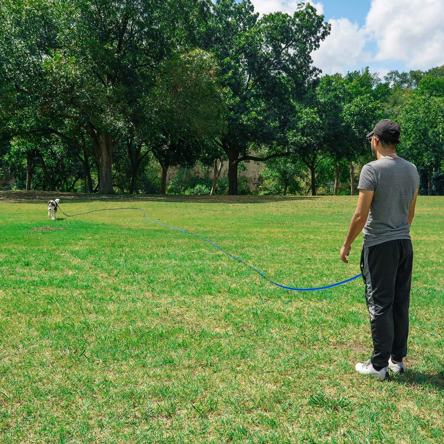 Hi Kiss Dog/Puppy Obedience Recall Training Agility Lead Training Lead