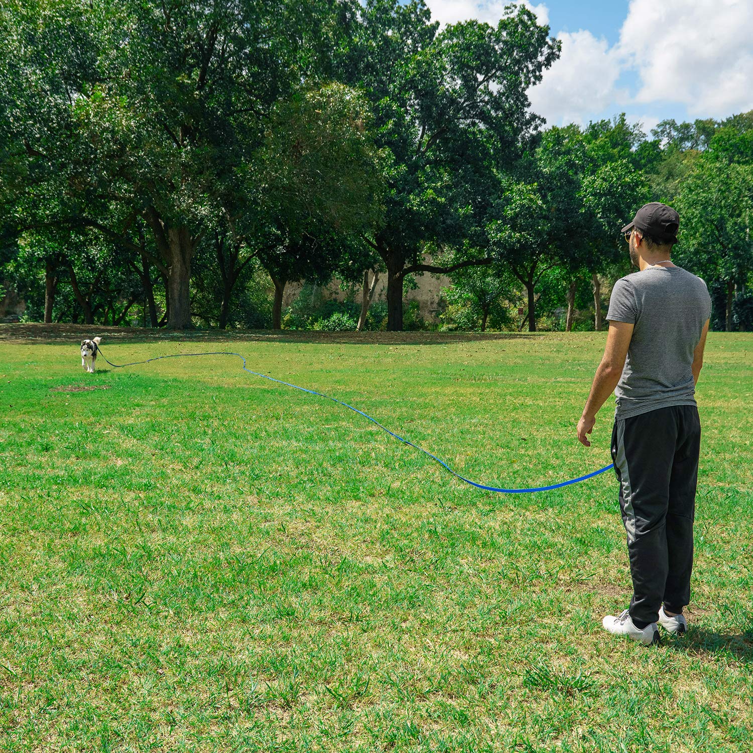 Hi Kiss Dog/Puppy Obedience Recall Training Agility Lead Training Lead