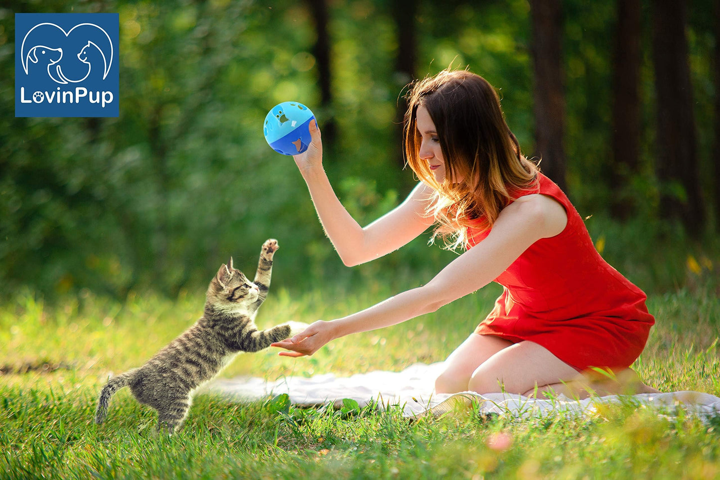LOVINPUP Large Cat Ball Toy with Bell Interactive Rolling Design Ball