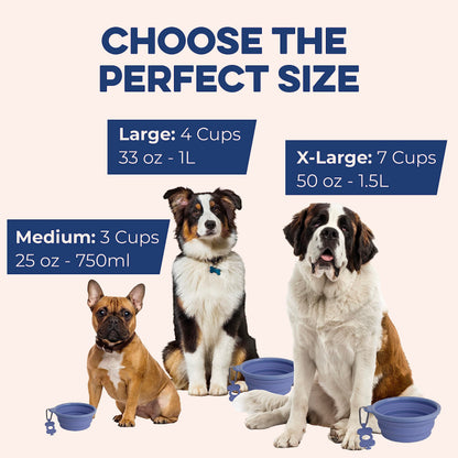 Bonza by Leash Boss Collapsible Dog Slow Feeder Bowl, Portable Bowl