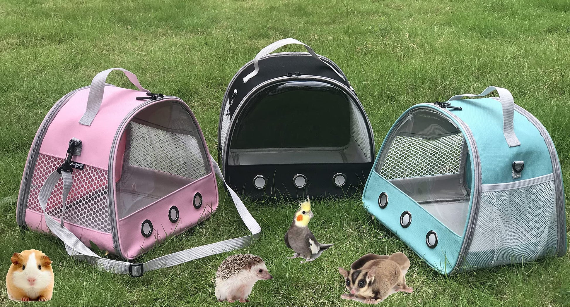 Guinea Pig Carrier Backpack, Clear Bubble Window Backpack for Carrier