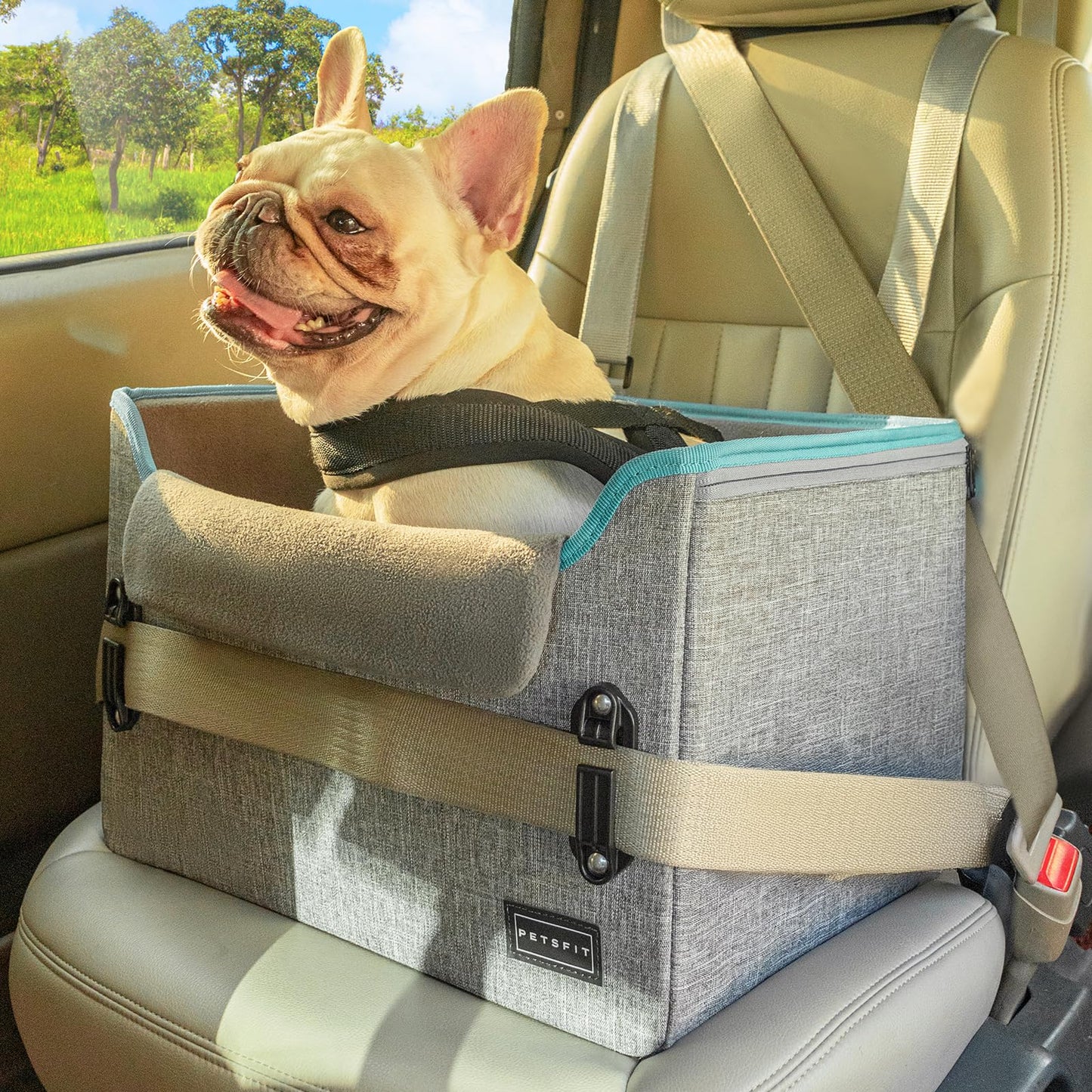 PETSFIT Dog Car Seats for Small Dogs Patented Safety Buckles Seat