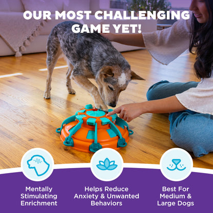 Outward Hound by Nina Ottosson Tower of Treats Level 4 Expert Puzzle