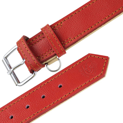 Riparo Leather Dog Collar Heavy Duty Wide Dog Collar